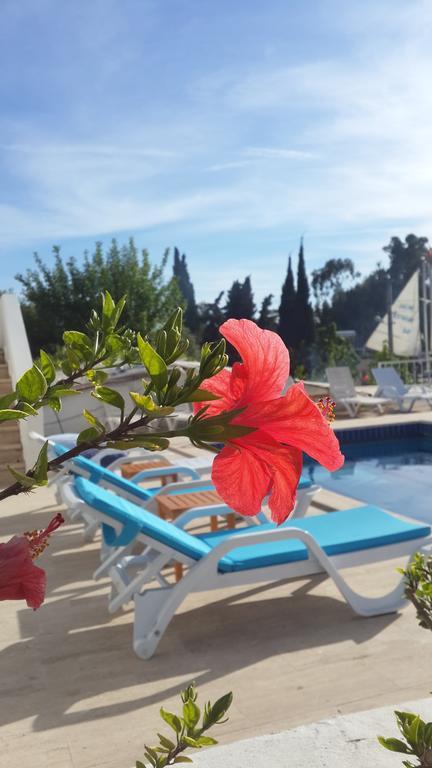 קס Sisyphos Hotel מראה חיצוני תמונה